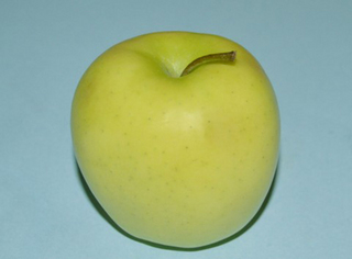 20141205a.jpg