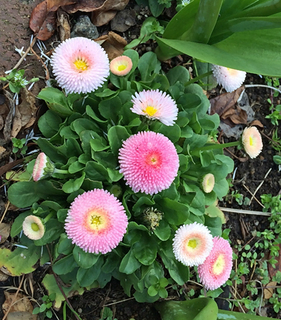20160315m.jpg
