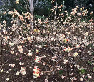 20160315o.jpg