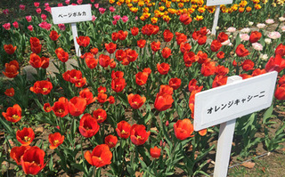 20180409l.jpg