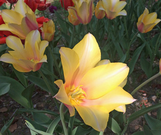 20180409s.jpg