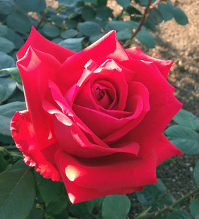 20180512h.jpg