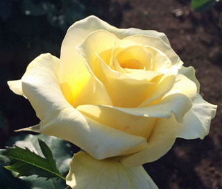 20180512n.jpg