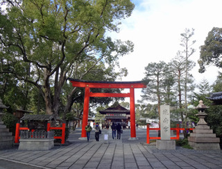 20190117i.jpg
