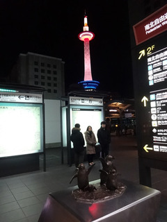 20190117v.jpg