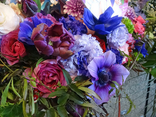 20190122f.jpg
