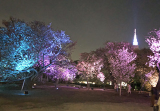 20190417e.jpg