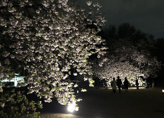 20190417l.jpg