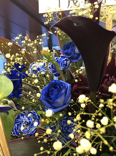 20190528e.jpg