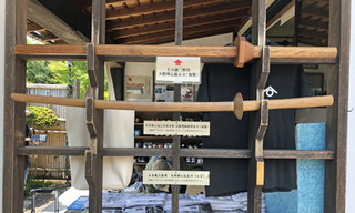 20190609e.jpg