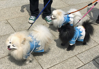 20190609h.jpg