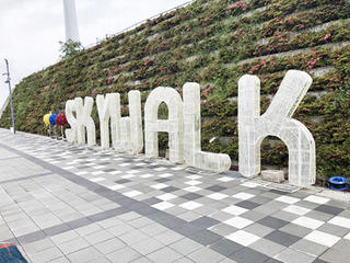 20190622b.jpg