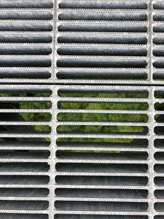 20190622f.jpg