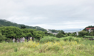 20190622i.jpg