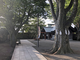 20190831bb.jpg