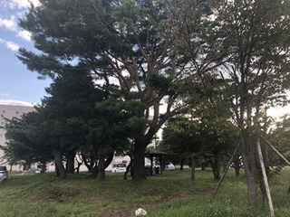 20190831bc.jpg