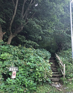 20190901bf.jpg