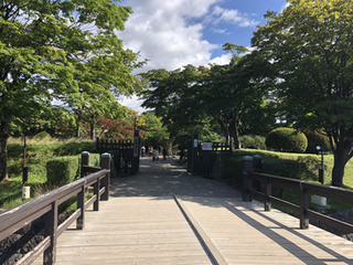 20190901g.jpg