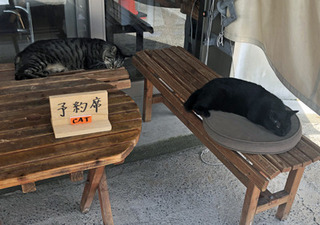 20190902r.jpg