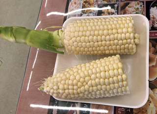 20190902s.jpg