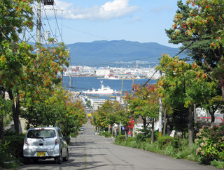 20190902z.jpg